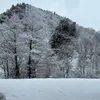 furiman16