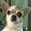 pugoman69