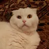 bella252123