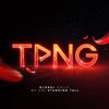 TPN GLOBAL
