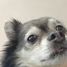 markyboss0