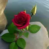 sosbsbpsbpsb