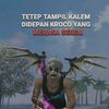 ahmadhapiz761