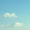 davidear69