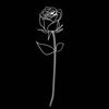 fahd_200