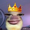 zxy_saa21
