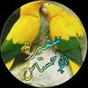 samaher_28