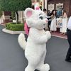 syei_________io