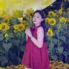 myne_385