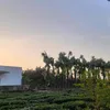 nhoveanh4