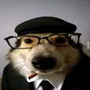 iwofjsq