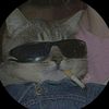 eduardo_15k