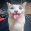 miginomomiage