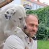 cerberus_aut