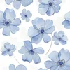 rainbeau_1204