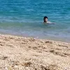 antoninopecis1