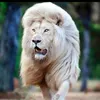 ahmed.zhdhjkkh0