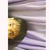 snobord