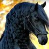 galina_171271