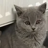 fati_fleur693