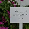 _xsif_98
