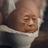 bignut5000