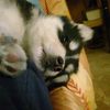 mizael_21