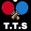 table tennis star