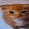 jnnhh_x3