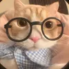 xquynh46