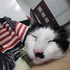 jaz_1205