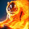 rafael_garcia499