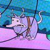 thewitchypig