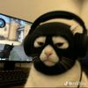 jakehamtaro