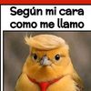 pinedameza3