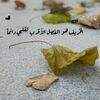 im.autumn0