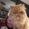 xochitlstiktokaccount