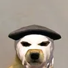 user6hz5dqe804