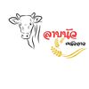 user229158010