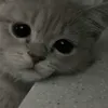 empeiuuw