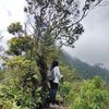 nuranggraeni19