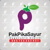pakpikachannel