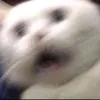 aestheticsxxaleatoria5