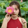 nguyenalisa
