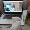 cutecherrygaming14