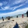 rumahsinggah001