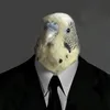official_mr._.kesha