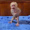 cerrerrr
