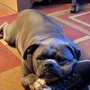 rosiegs4