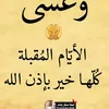 marwabass6